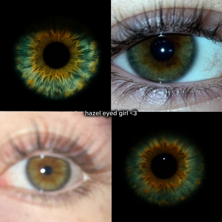 yeux bruns et noisette