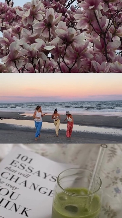grid video