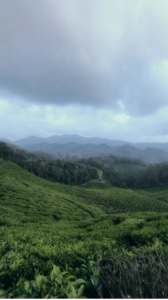 Natureza kerala