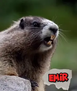 EMIR