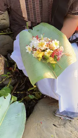 Phool Bizu || 