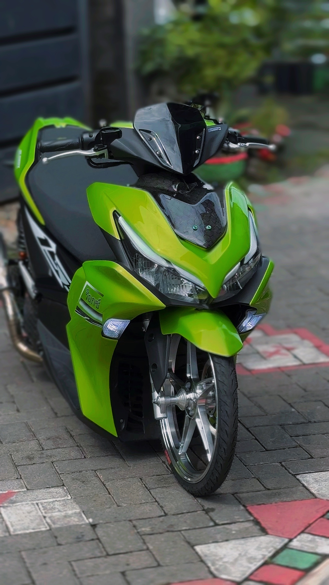 Cover Picture