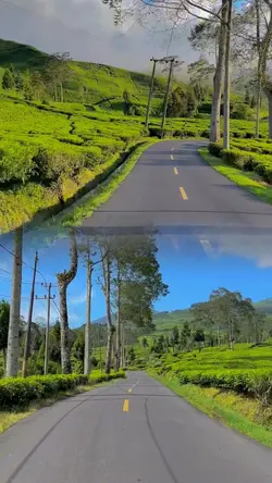 2 video 1 frame tren