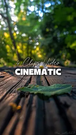 4 Videos Cinematic