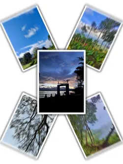 5Pic Grid Aesthetic