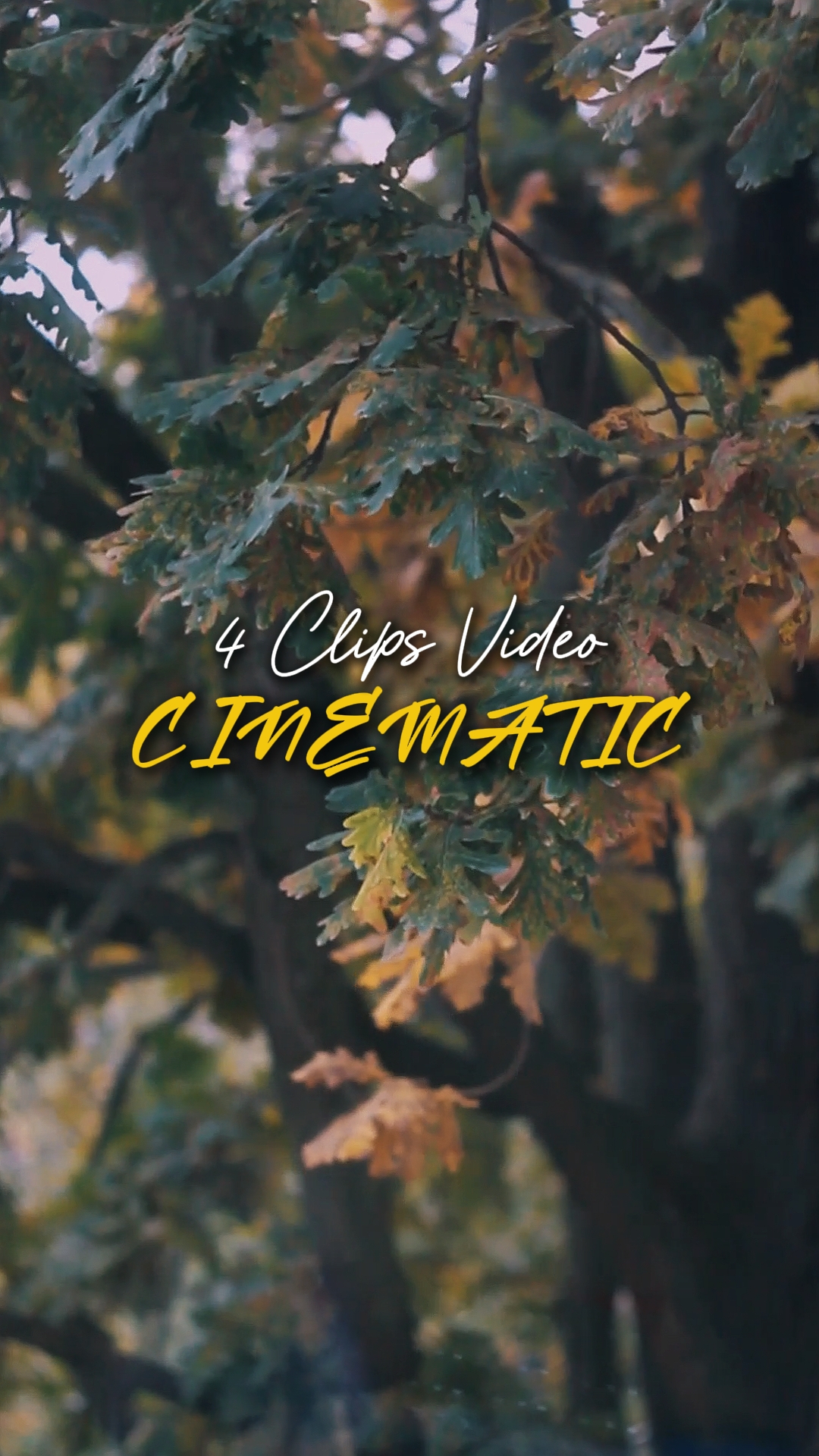 Cinemática 4 Videos