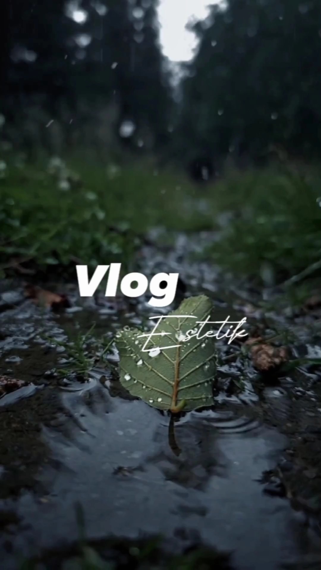Estetik de Vlog