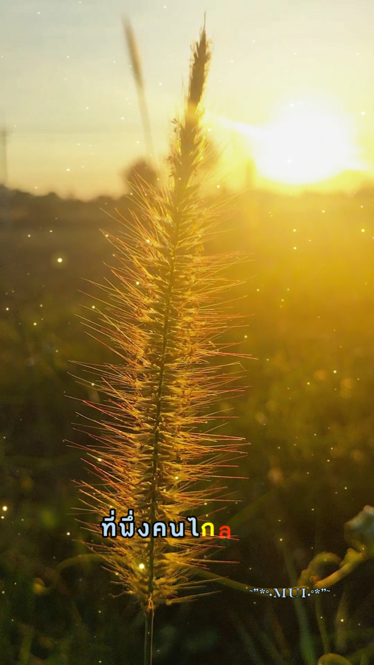 3วีดีโอ+อักษรตามเพลง