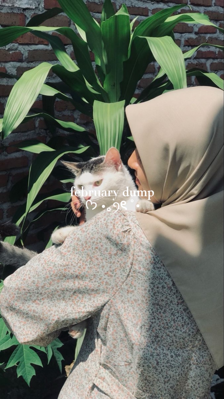 februaryDump 50 foto