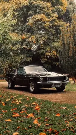 Muscle Car🔥❤️‍🔥💯