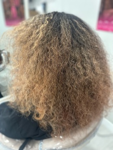 Template penata rambut