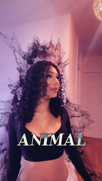 ANIMAL-KATSEYE