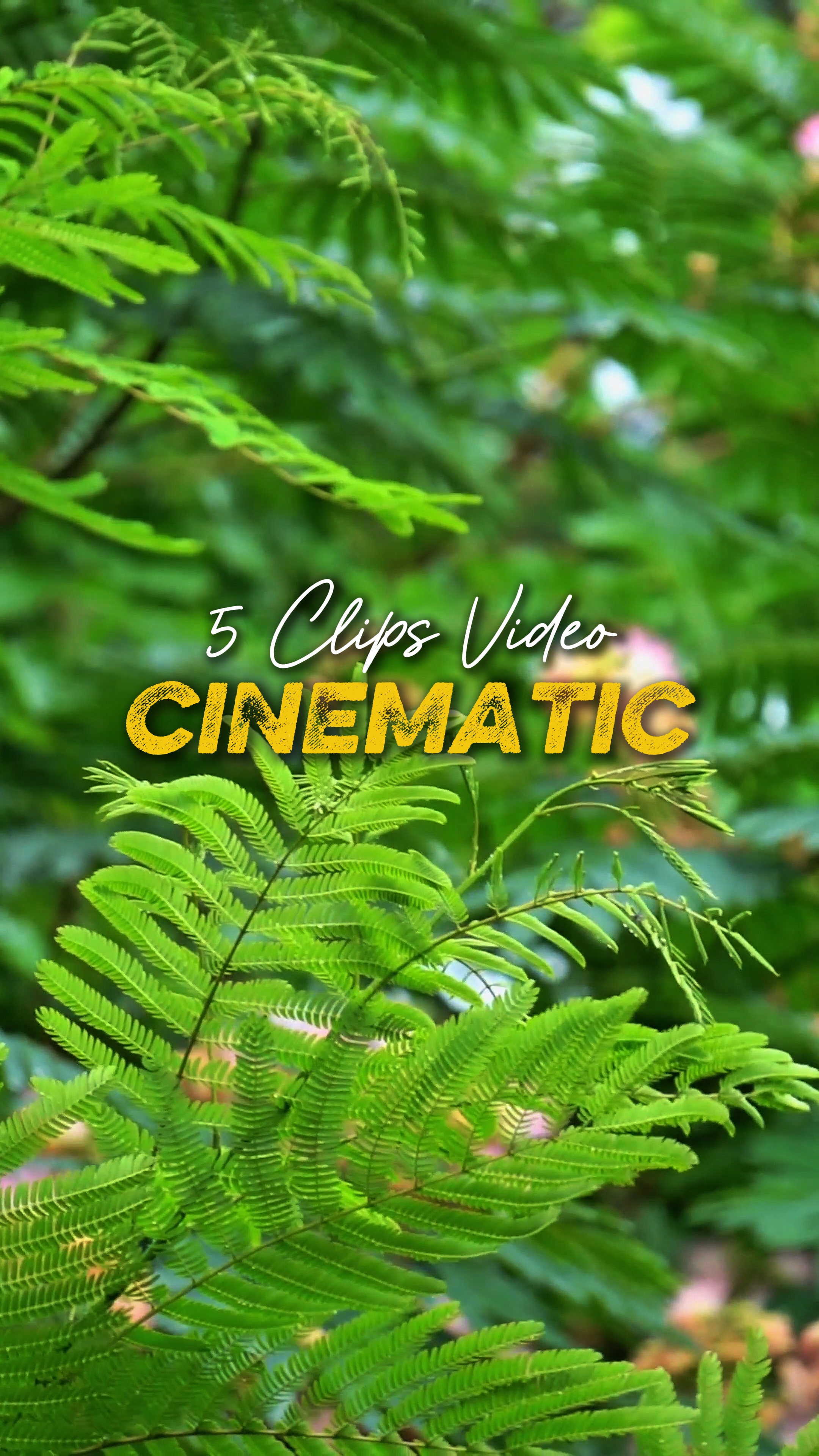 Cinématique 5 Vidéo