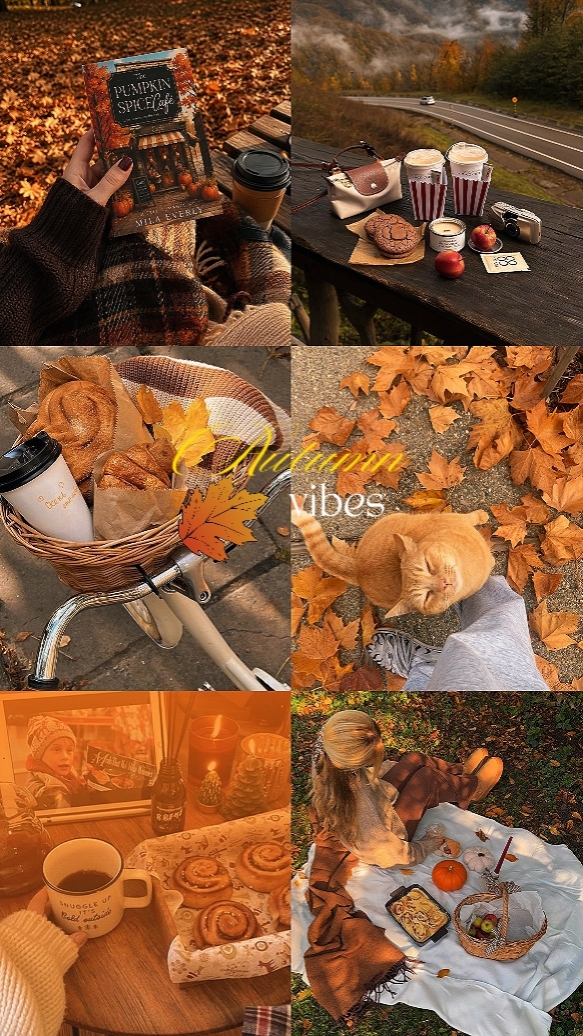 autumn vibes