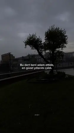 Yıllarımı çaldı