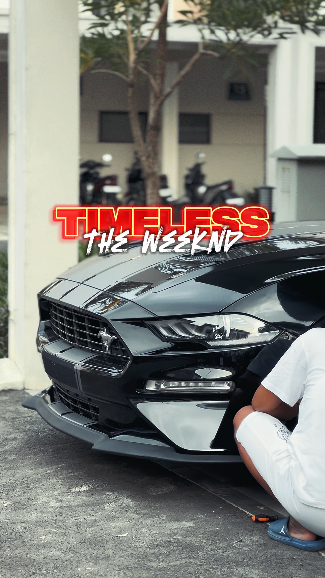 Timeless HD