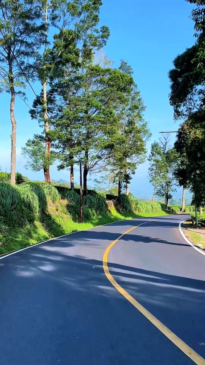 Viaje por carretera HD 