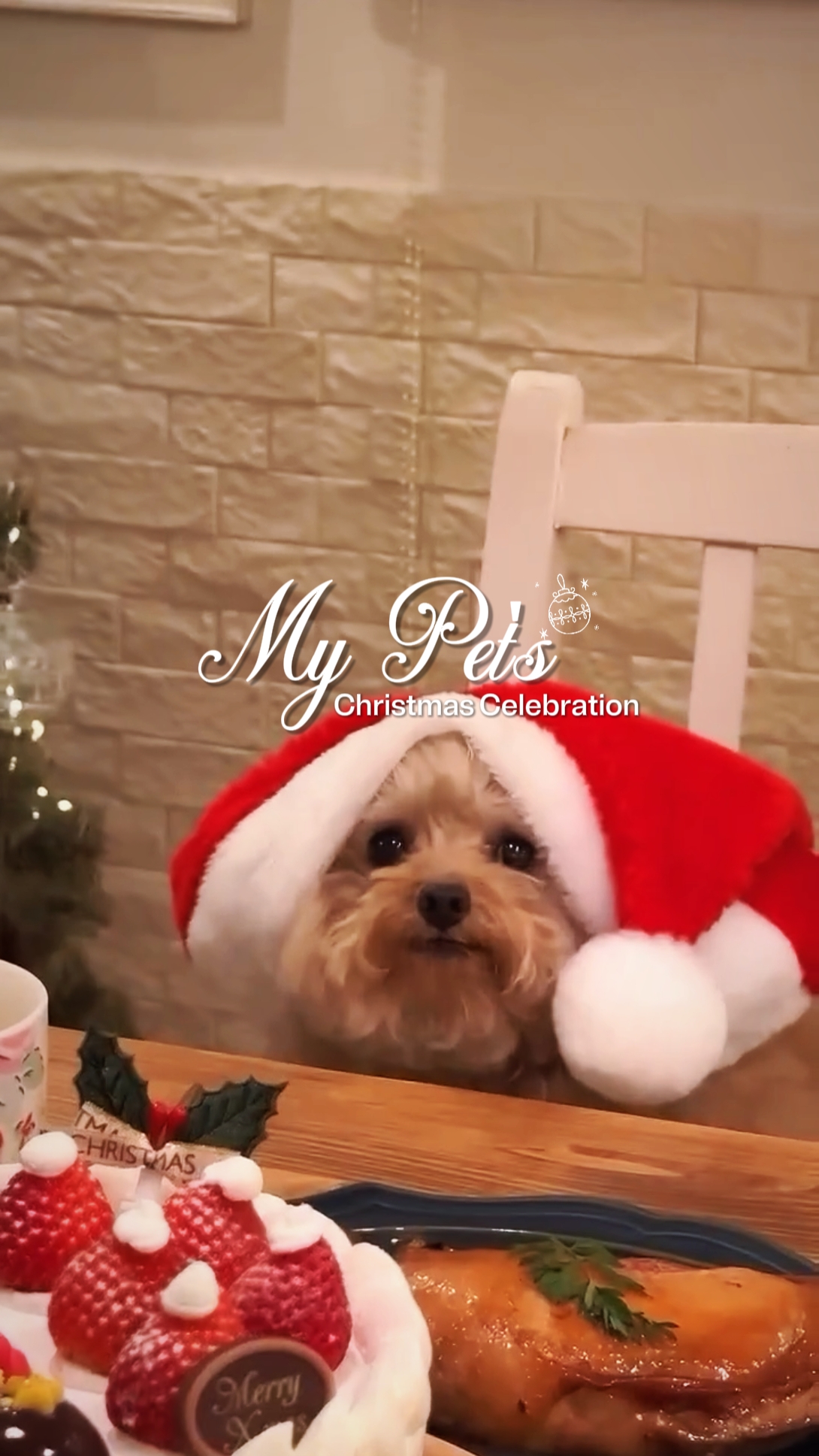 LA NAVIDAD DE MI MASCOTA