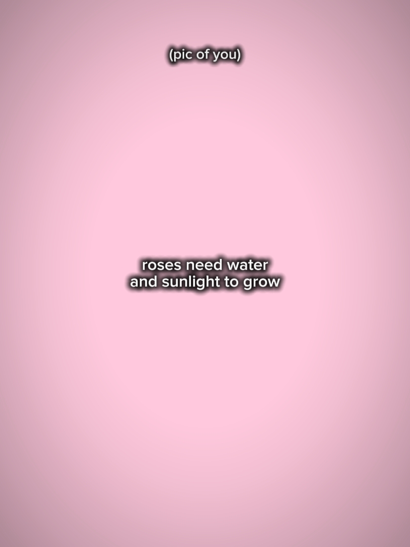 roses need water