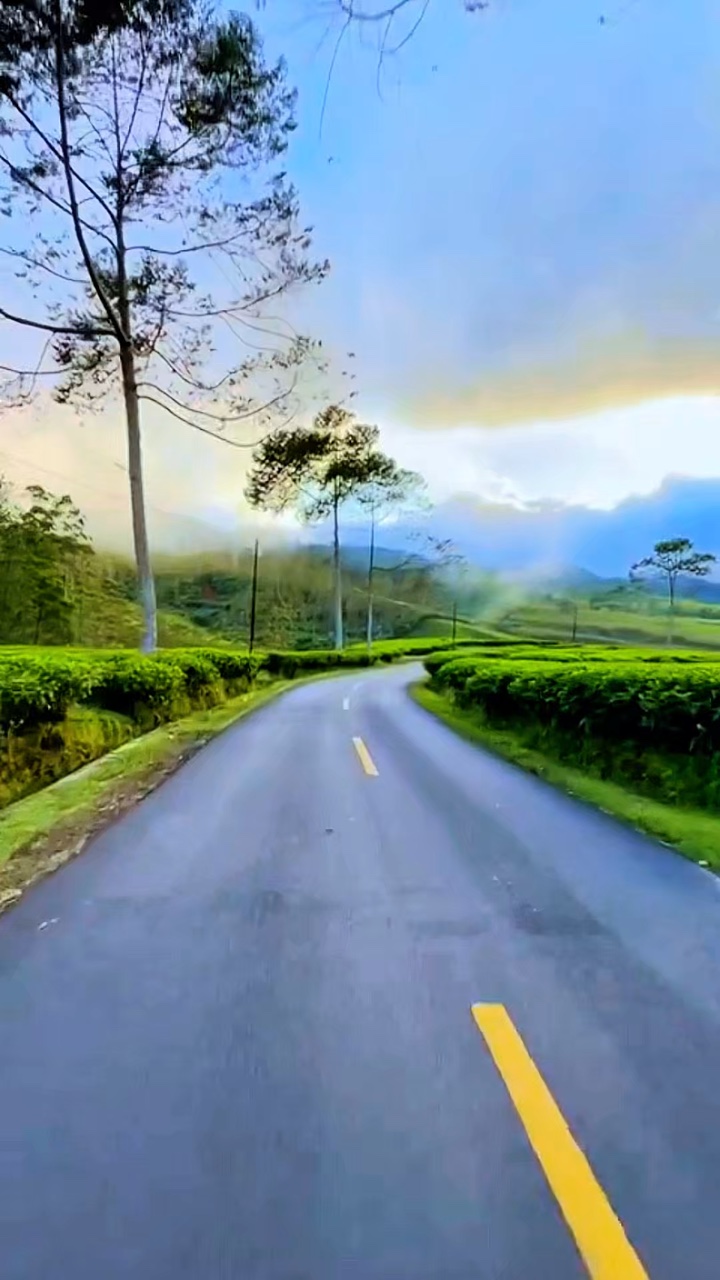 Carretera de video de 5 clips