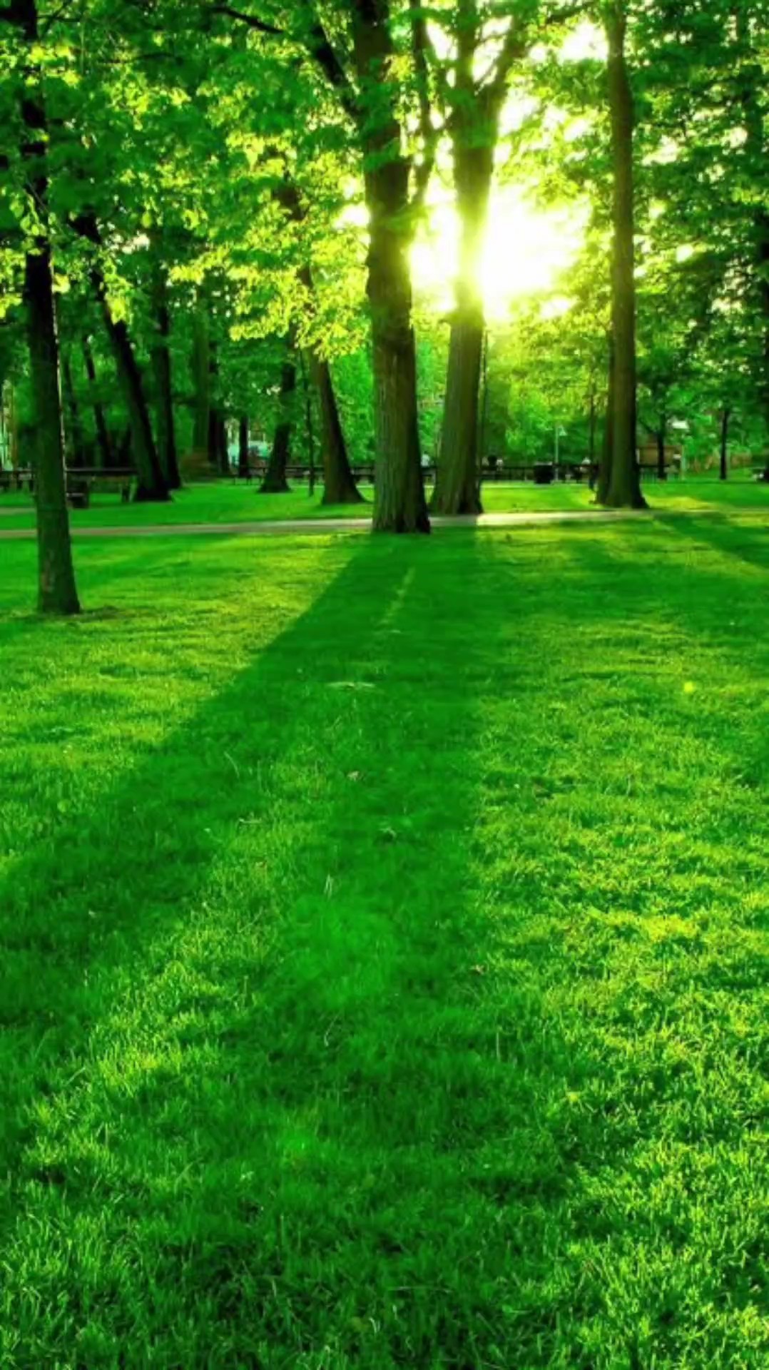 Amo la naturaleza 