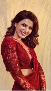 Geleneksel sari