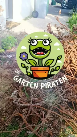 jardinage 