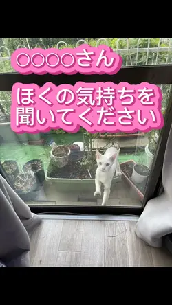 公開告白・プロポーズ