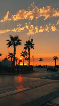 Filter Sunset