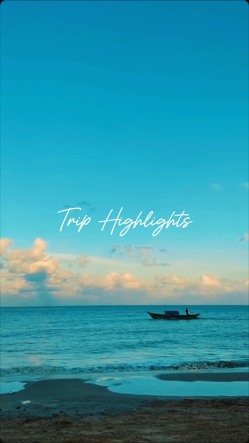 trip highlights 