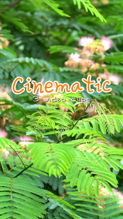 Vidéo CInematic 3