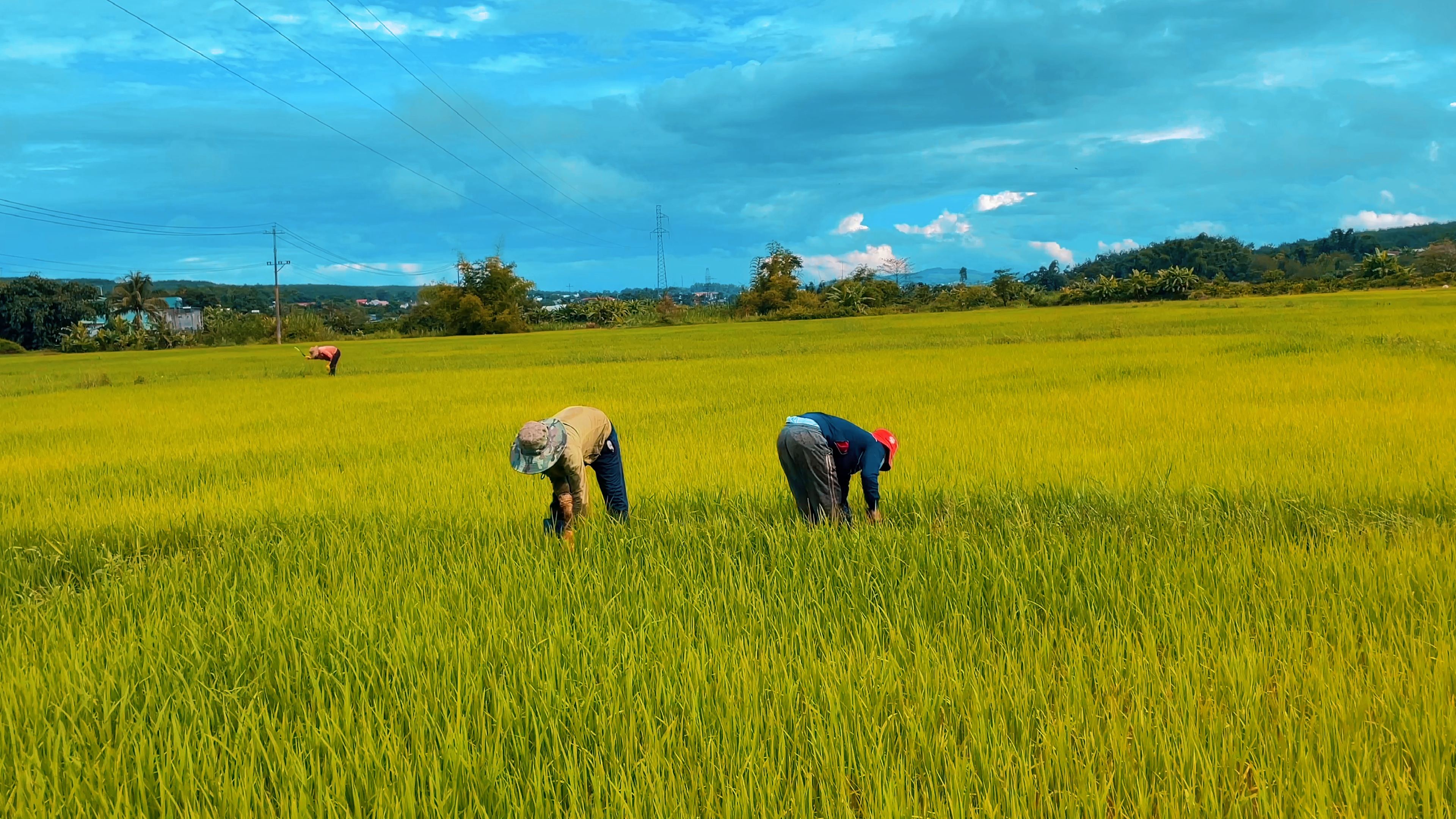 Huyền vi 1 VD ngang