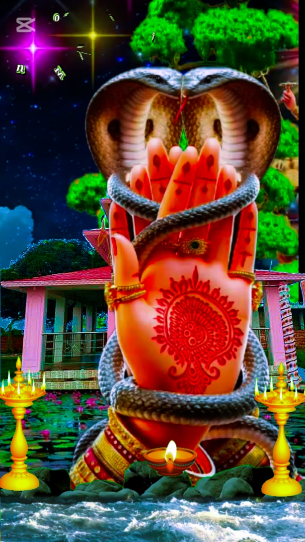 Cover Picture