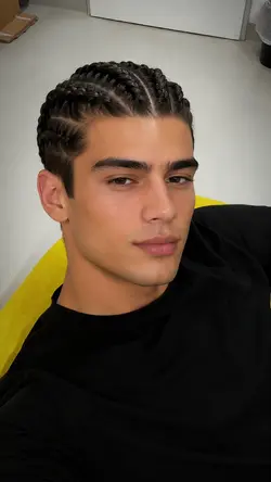 Braids hairstyle ai