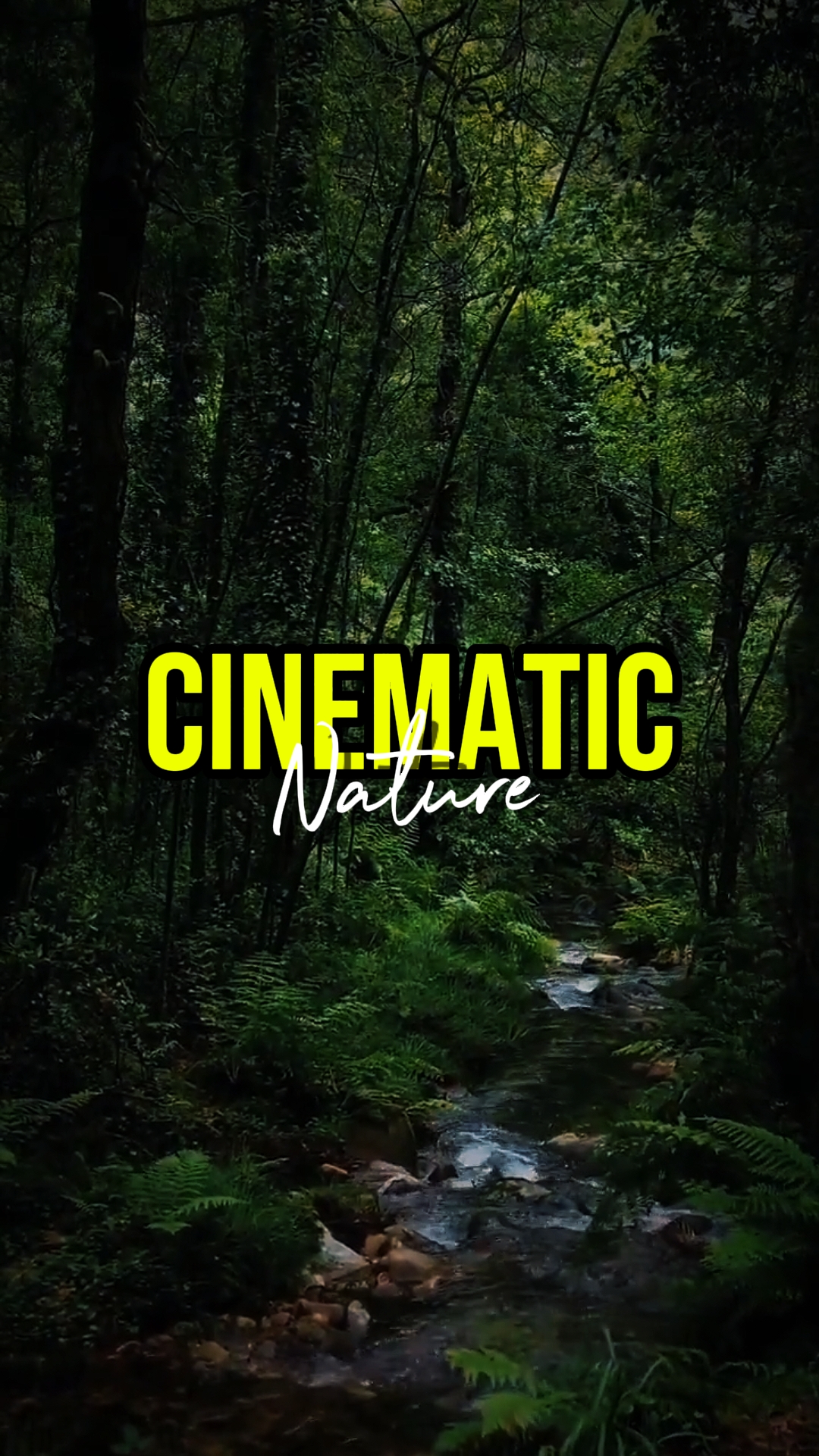 KINEMATISCHE NATUR