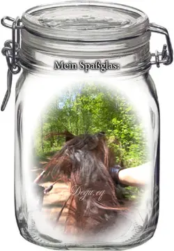 Spaßglas Reiten 