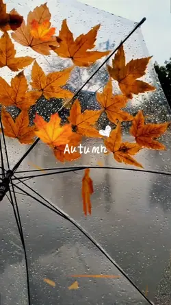 autumn