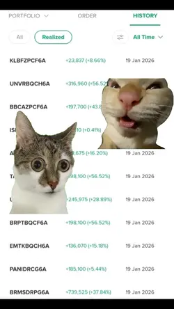 meme kucing saham