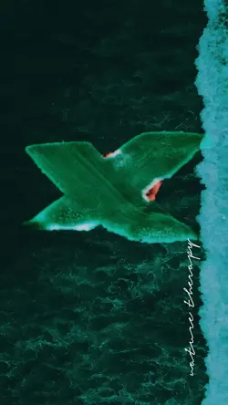 Nature Therapy❤️