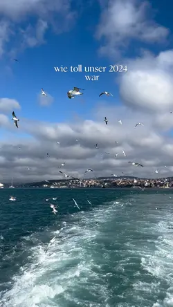 2024 reallife check