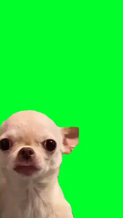 Devious dog