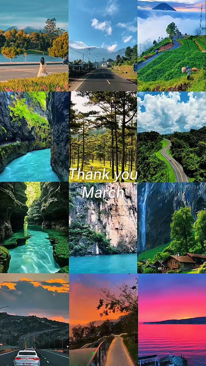 Terima kasih Maret