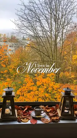 I love November 