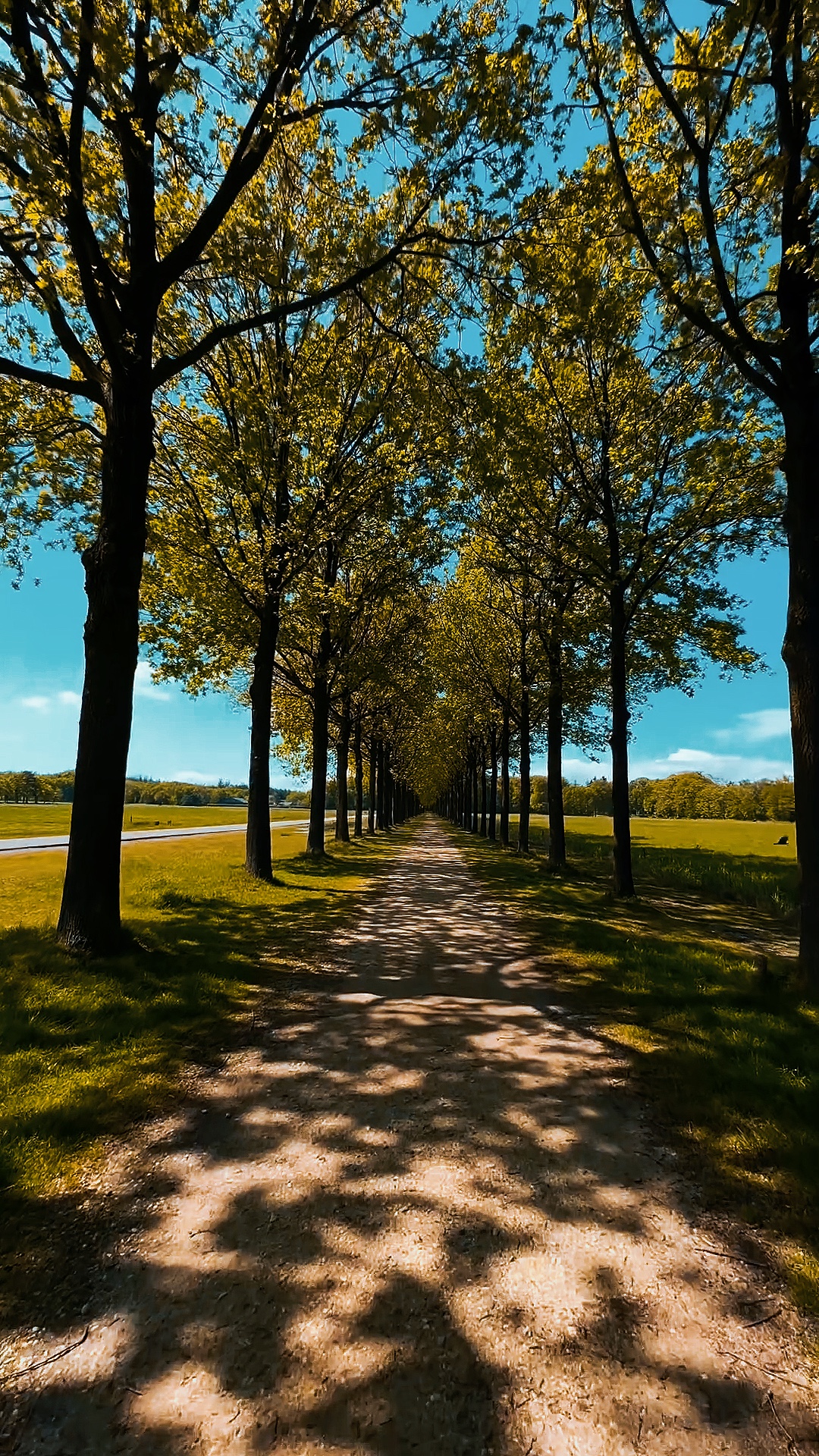 marche lente et douce 