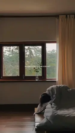 memories of moment🍯