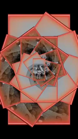 viral video 