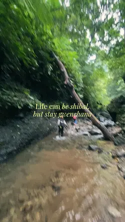 Life can be shiba
