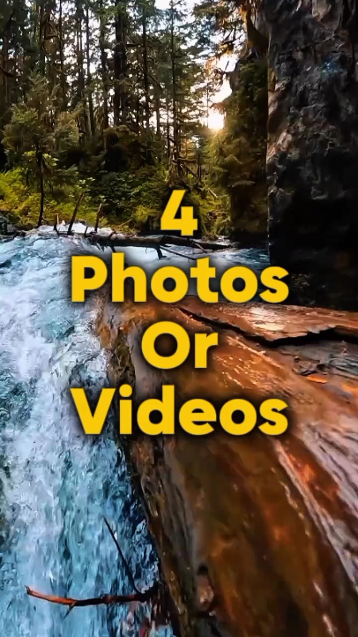 4 videos o fotos 