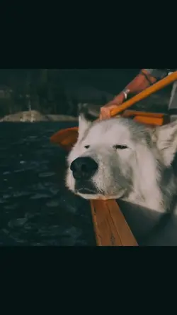 relaxed