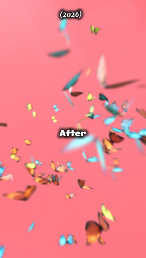 Before & After